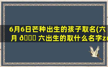 6月6日芒种出生的孩子取名(六月 🐟 六出生的取什么名字zui
好)